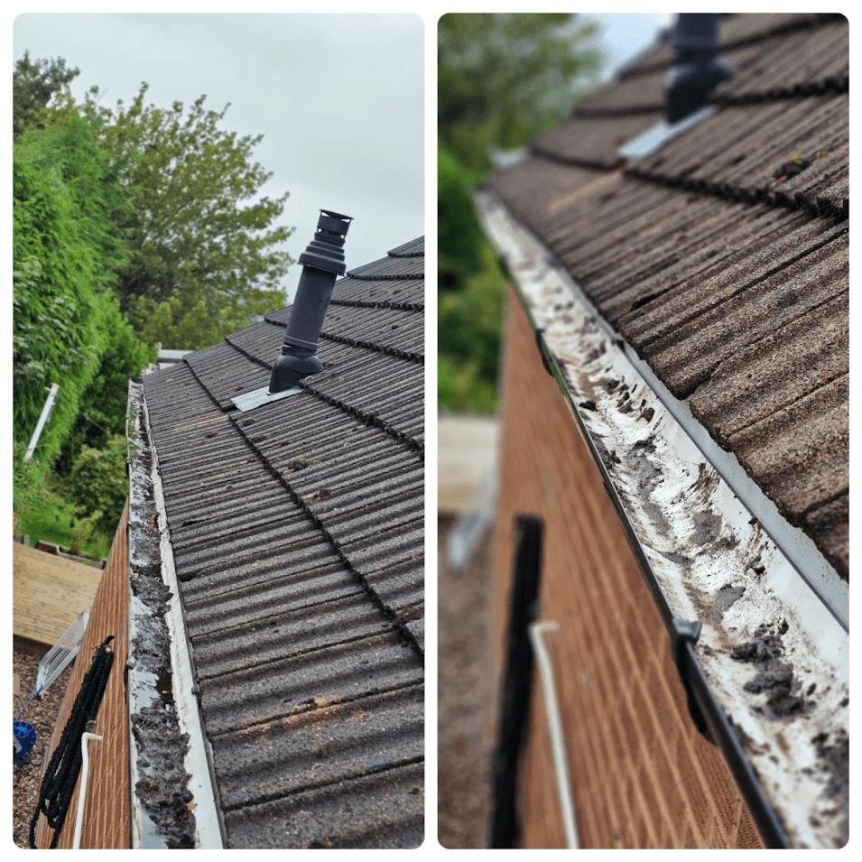 Gutter cleaning