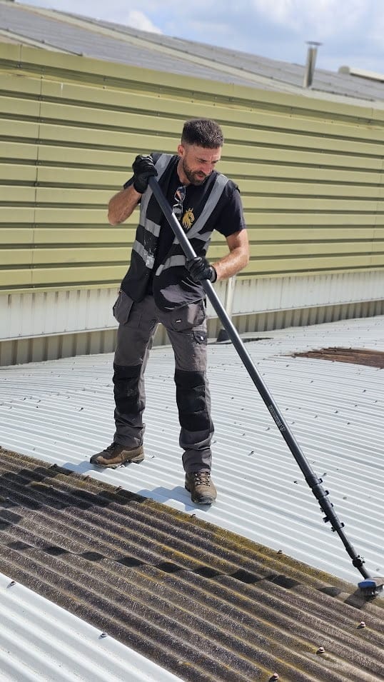 gutter cleaning
