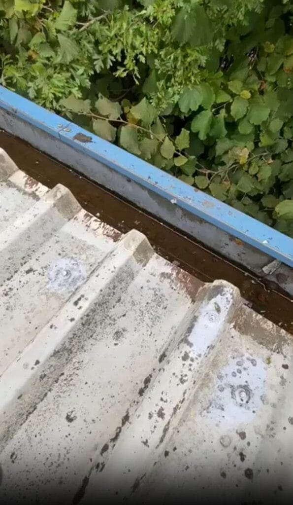 Dirty metal roof and gutter near overhanging tree branches