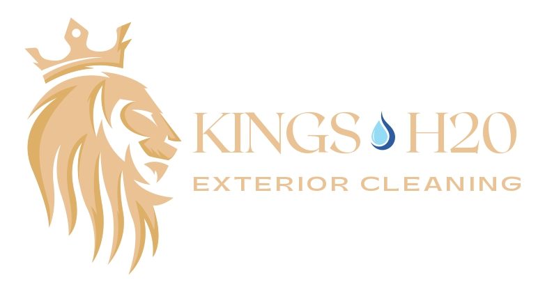 Kings_h20_tshirt_gold_page-0001