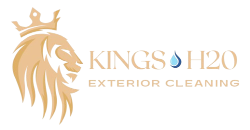 Kings_h20_tshirt_gold_page-0001-removebg-preview