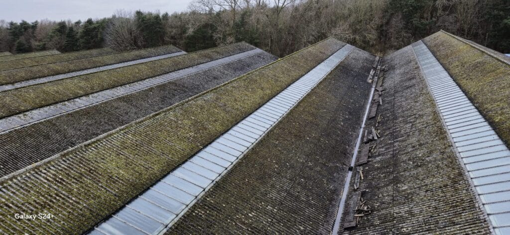 Gutter Cleaning